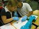 Mrs. Steward's Third Grade Students Investigate Bones