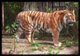 Prowling for improvement