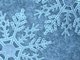 Winter Wonderland at Harnew