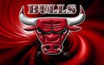 Bulls