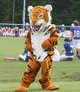 SEMS Tiger has Spirit!
