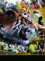 2014 DCHS Yearbook