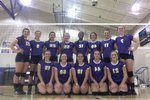 2014 Springville Lady Tigers