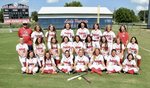 Fast-Pitch Softball Main Page Image