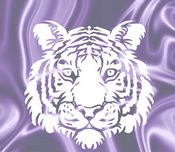 Main Page Image