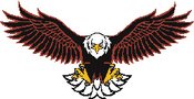 Liberty Eagles