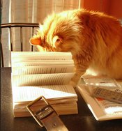Love to Read